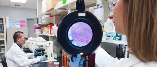 Innovators for Animals Blog - Zoetis scientists in lab