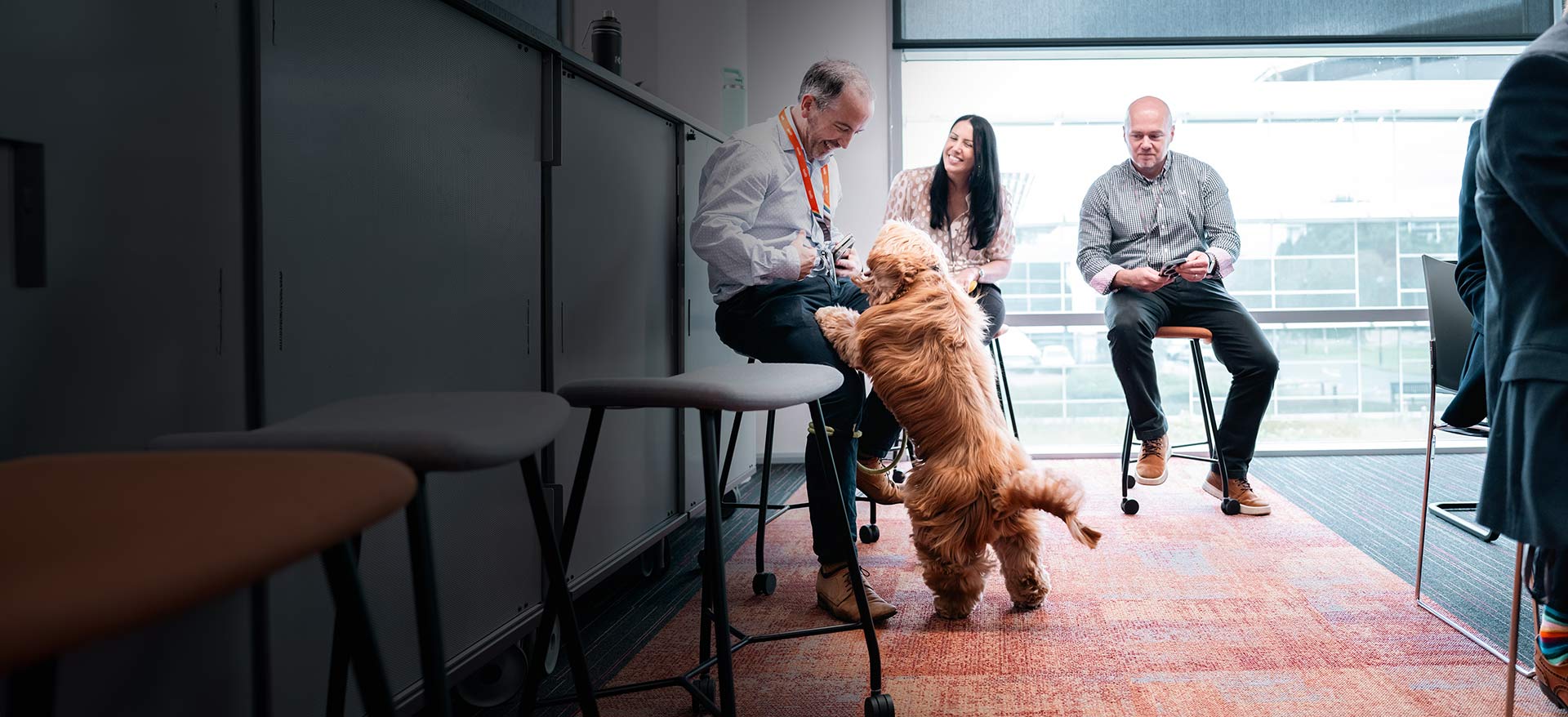 A fluffy dog stands on its hind legs greeting a seated colleague while other colleagues watch and smile near a large window - Zoetis