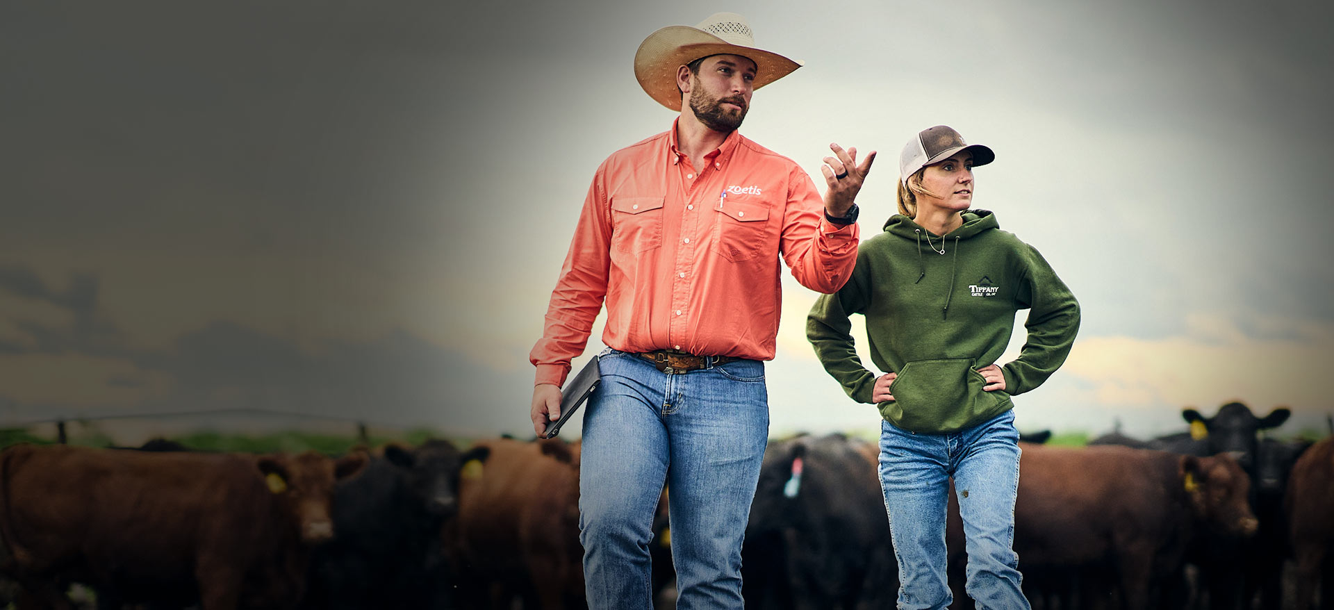 Zoetis colleague with cattle producer - Zoetis