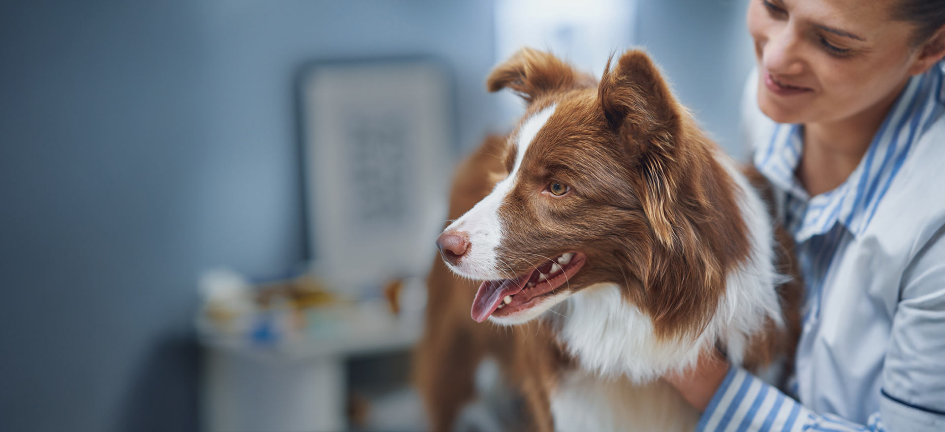 Scientist and dog - Zoetis