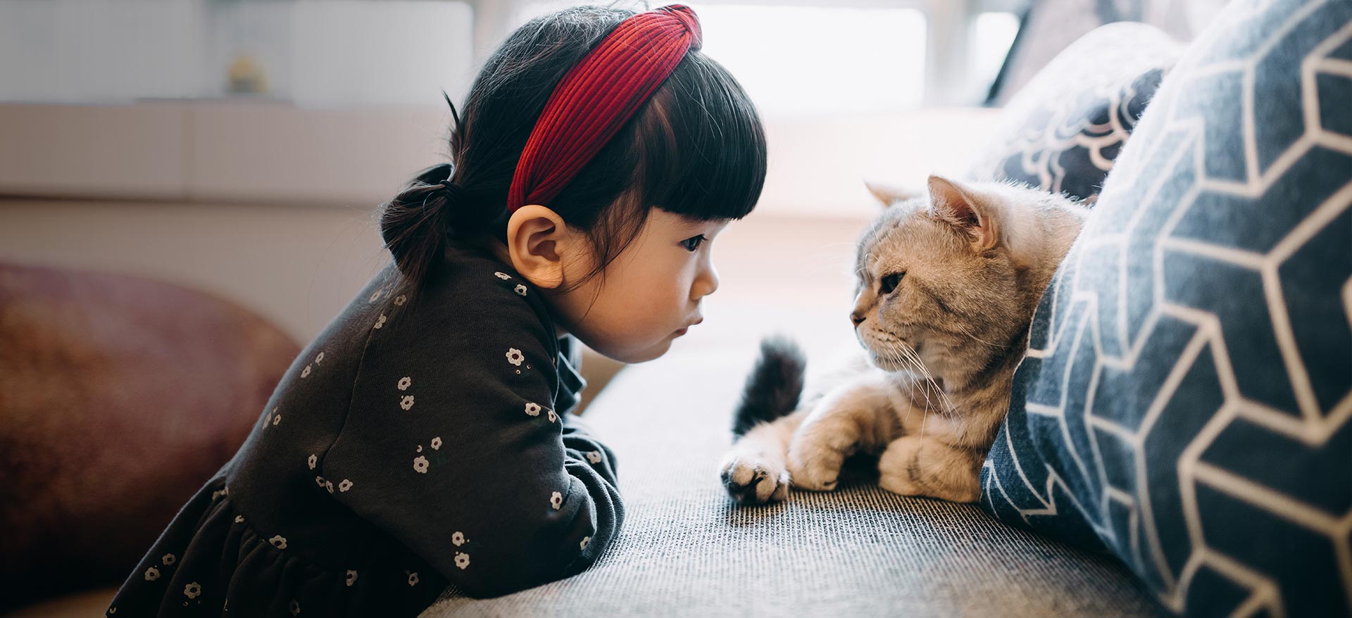 Young girl locking eyes with cat - Zoetis