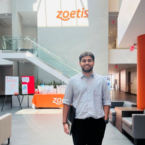 Zoetis intern - Zoetis
