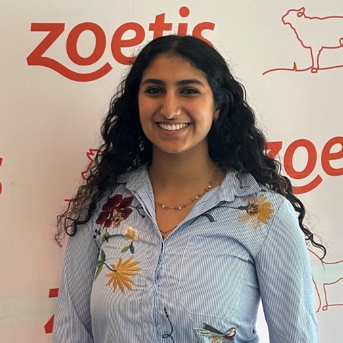 Zoetis intern - Zoetis