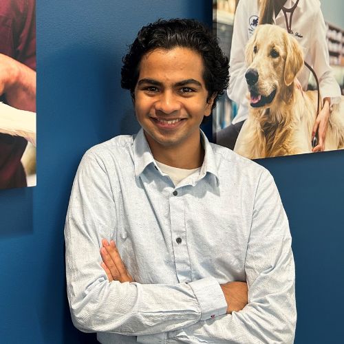 Zoetis intern - Zoetis