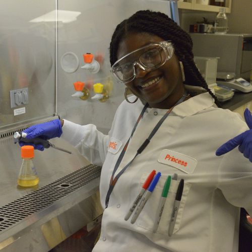 Zoetis intern - Zoetis