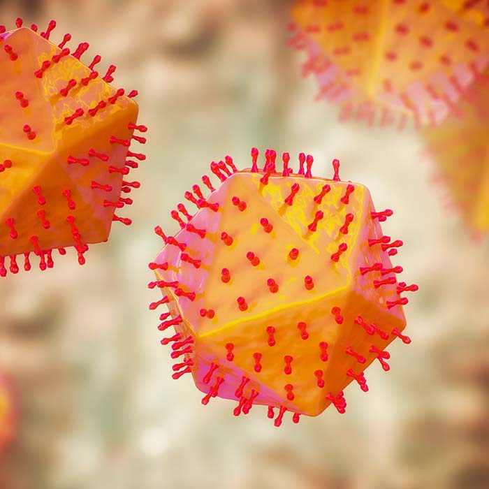 Illustration of African Swine Fever