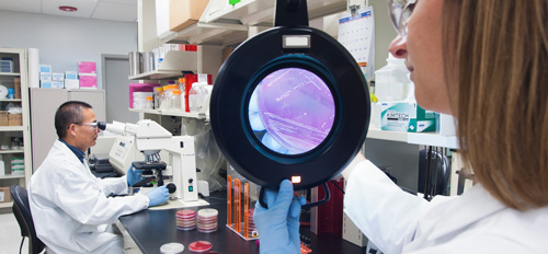 Innovators for Animals Blog - Zoetis scientists in lab