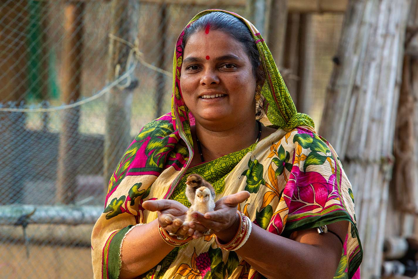 A woman in India gently holds a young chicken. - Zoetis - Photo Credit: Heifer International