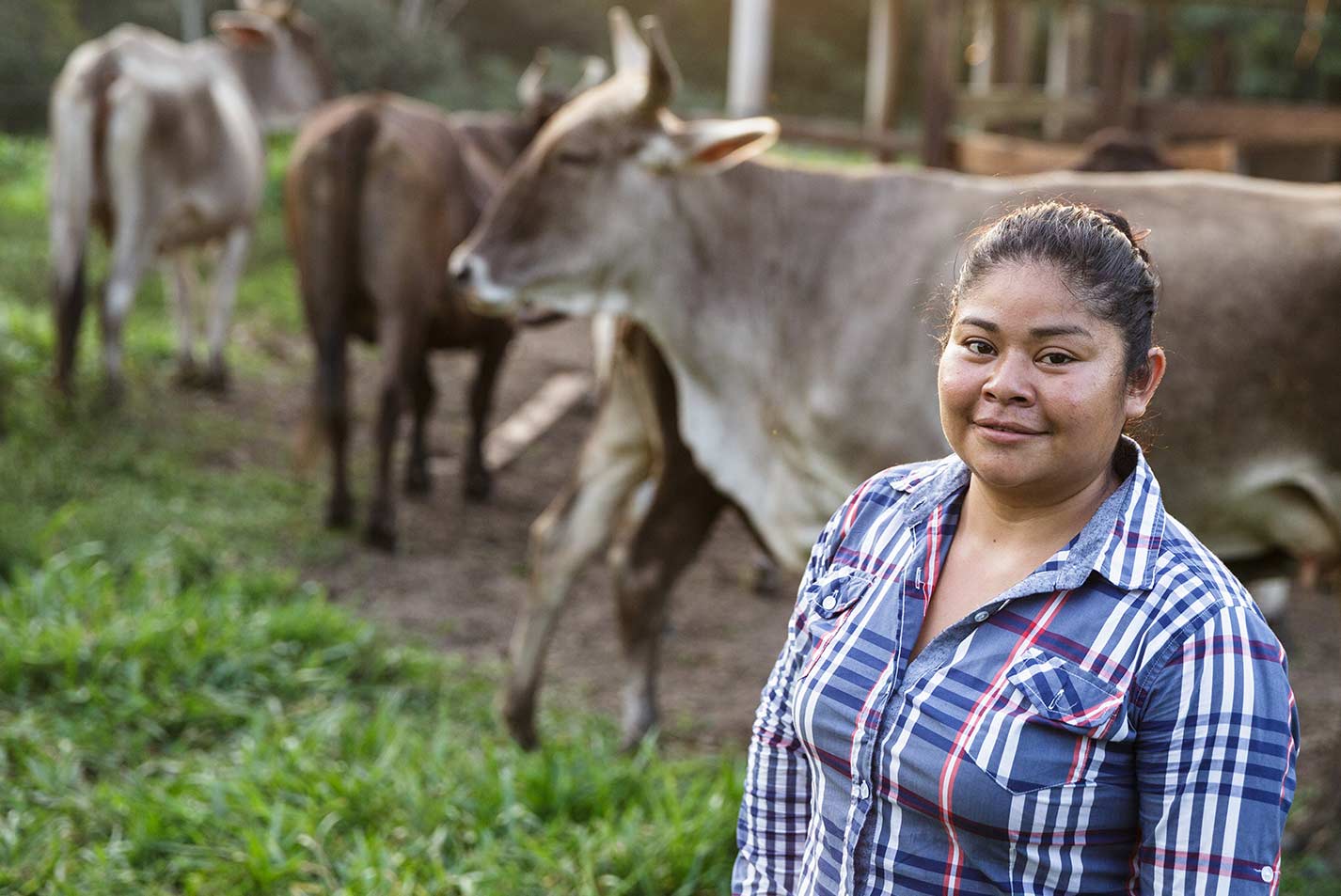 A female farmer stands proudly in a pasture in rural Mexico; in front of several cattle she is caring for. - Zoetis Foundation - Photo Credit: Heifer International