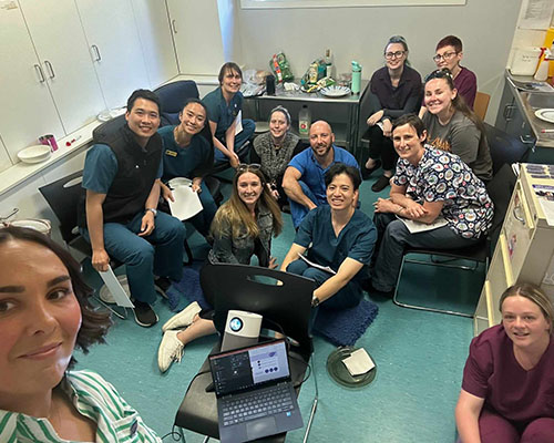 A group of veterinary professionals in Australia gathers for a training session as part of one clinic’s approach to improve mental health and well-being - Zoetis