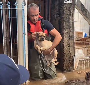 Disaster relief - man carrying small dog - Zoetis