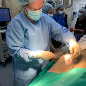 Dr. Catherine Bartholf closing a lateral approach coelomic surgical wound in a sand tiger shark at the New York Aquarium - Zoetis