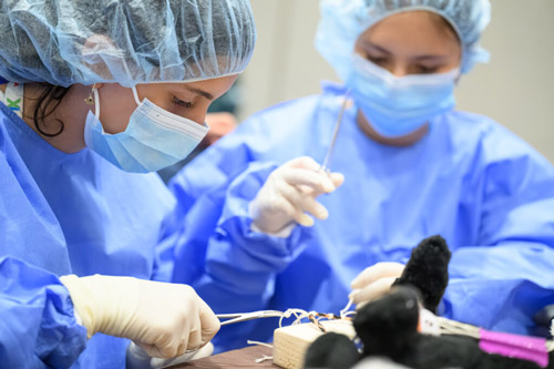 Students participating in The Believe and Belong in Veterinary Medicine® program