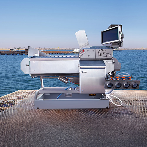 PHARMAQ Fishteq NFT20 - Zoetis