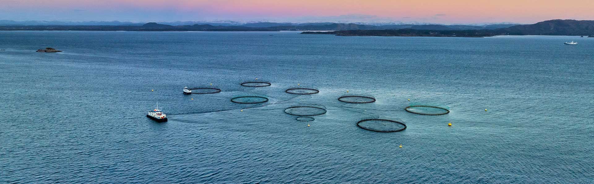 Fish farm - Zoetis